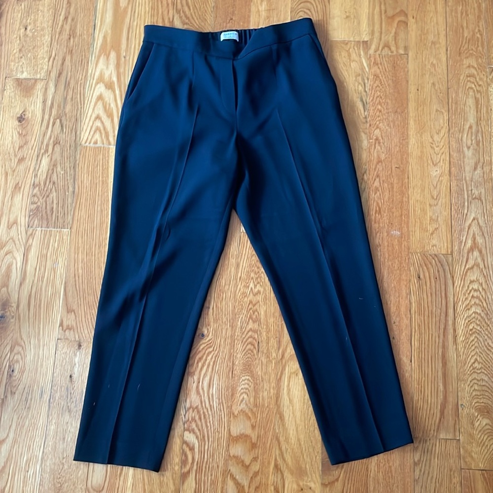 Babaton (Aritzia) pants.  Size 6.
